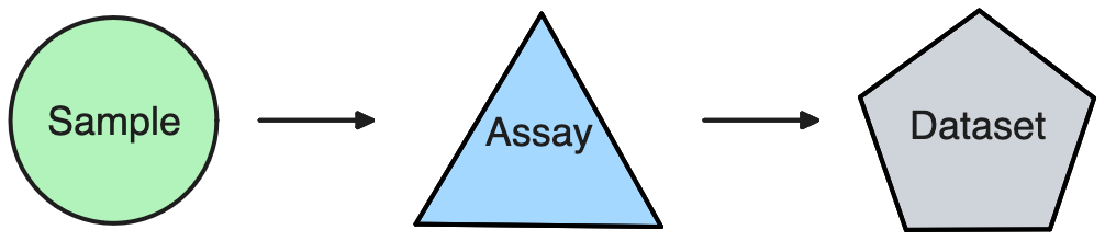 Simple lineage model for samples