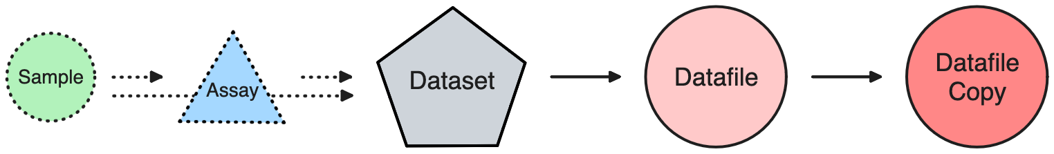 More advanced lineage model for samples