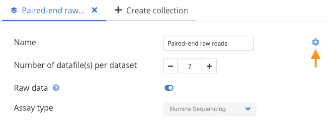 Dataset builder - Button to open advanced controls