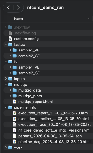 workflow run files